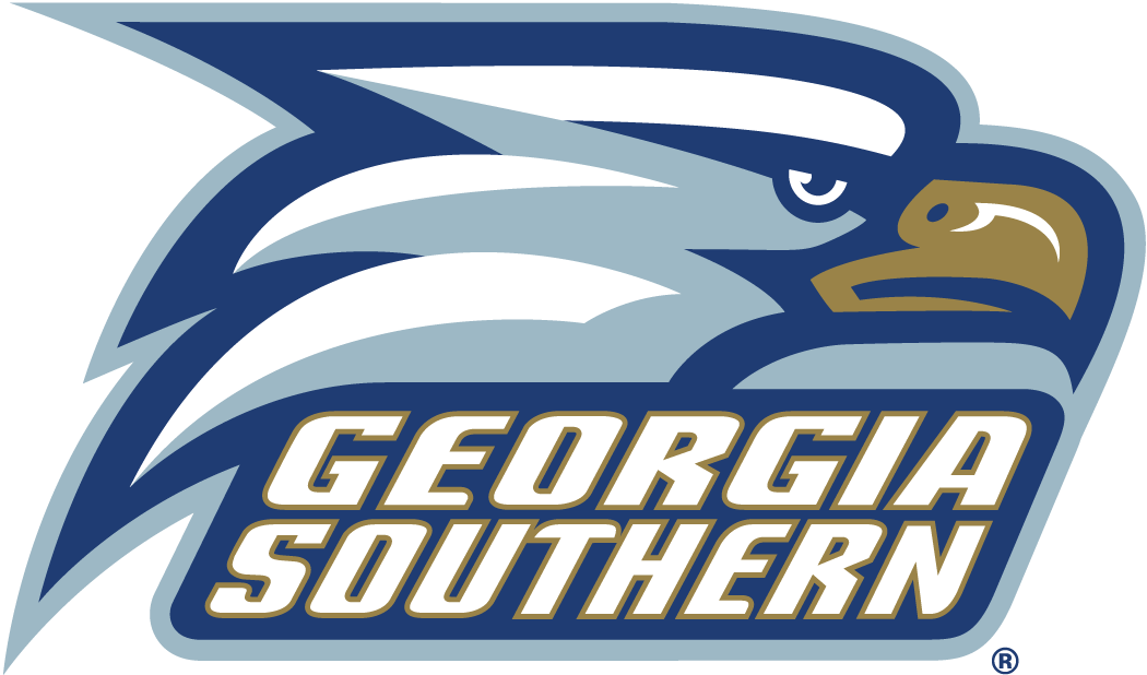 Georgia Southern Eagles 2004-Pres Alternate Logo diy fabric transfer